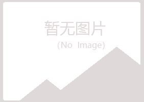 龙岩白山保险有限公司